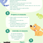 Kit para mascotas en caso de emergencias