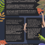 Día Mundial – One Health