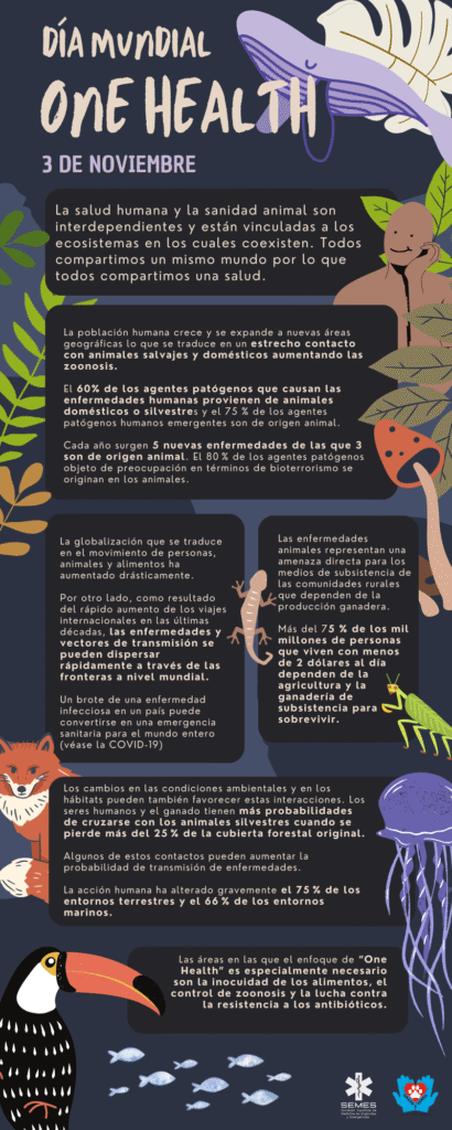 Día Mundial – One Health