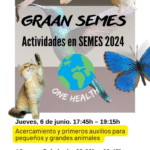 Actividades en el Congreso Nacional de SEMES en Sevilla 2024