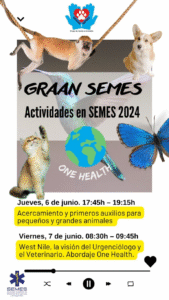 Actividades en el Congreso Nacional de SEMES en Sevilla 2024