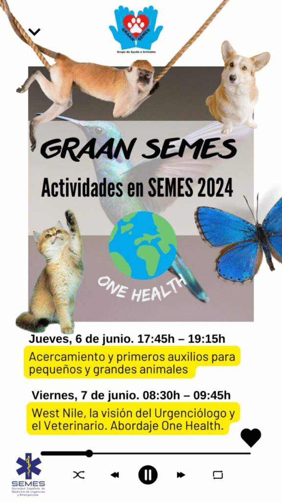 Actividades en el Congreso Nacional de SEMES en Sevilla 2024