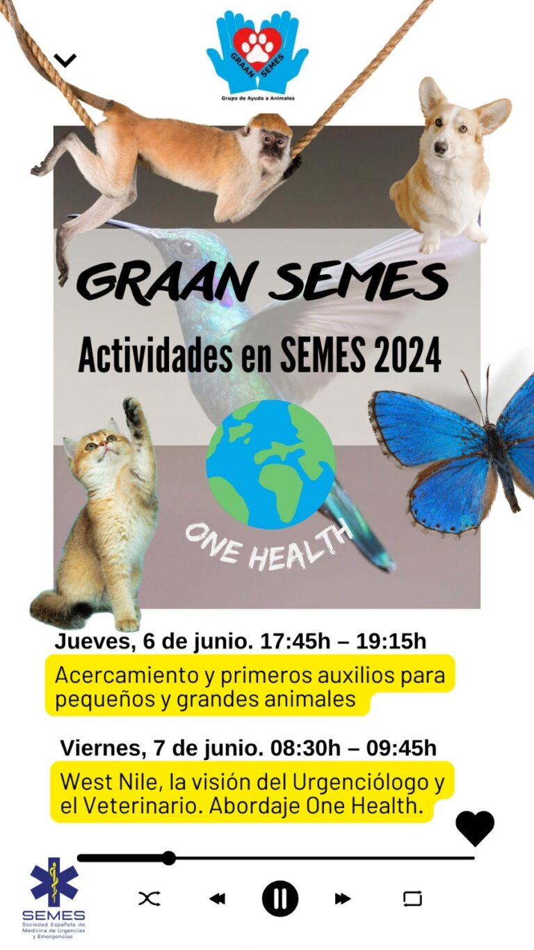 Actividades en el Congreso Nacional de SEMES en Sevilla 2024
