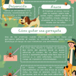 Garrapatas: cómo protegerse de su picadura