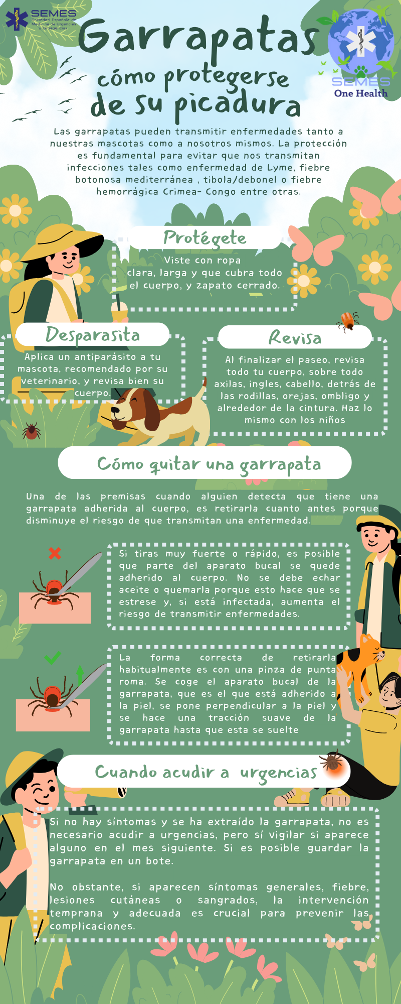 Garrapatas: cómo protegerse de su picadura