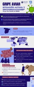 Gripe Aviar: Situación actual y recomendaciones