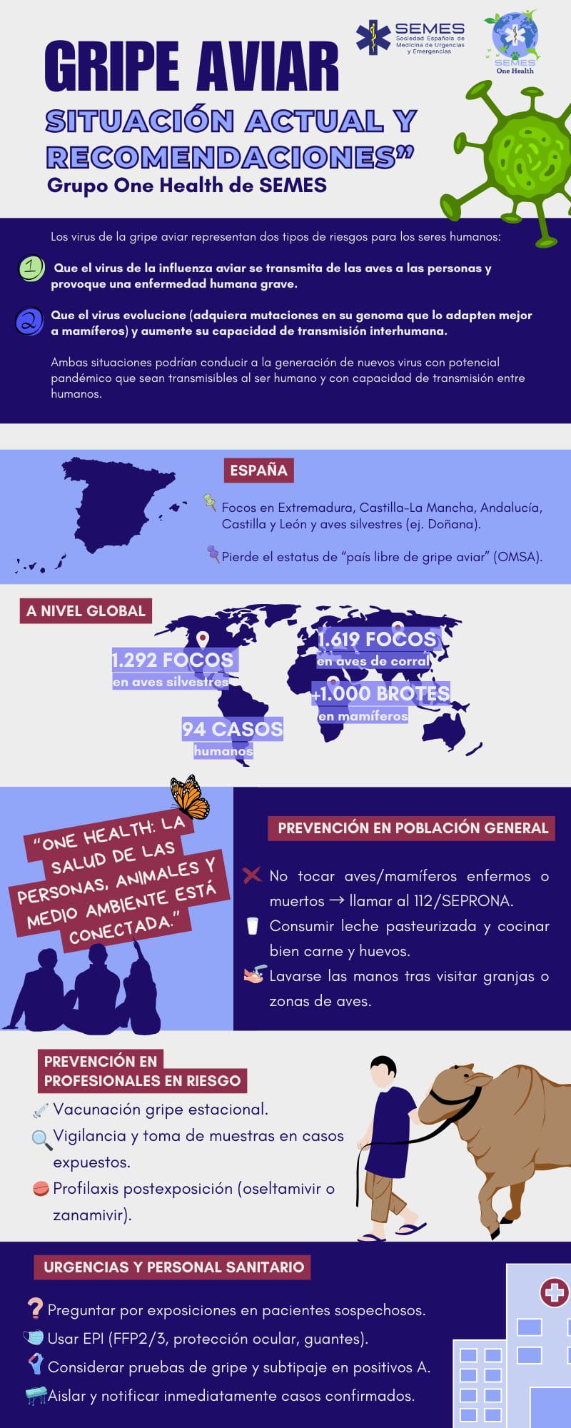 Gripe Aviar: Situación actual y recomendaciones