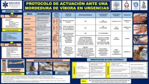 Protocolo de actuación ante una mordedura de víbora en Urgencias