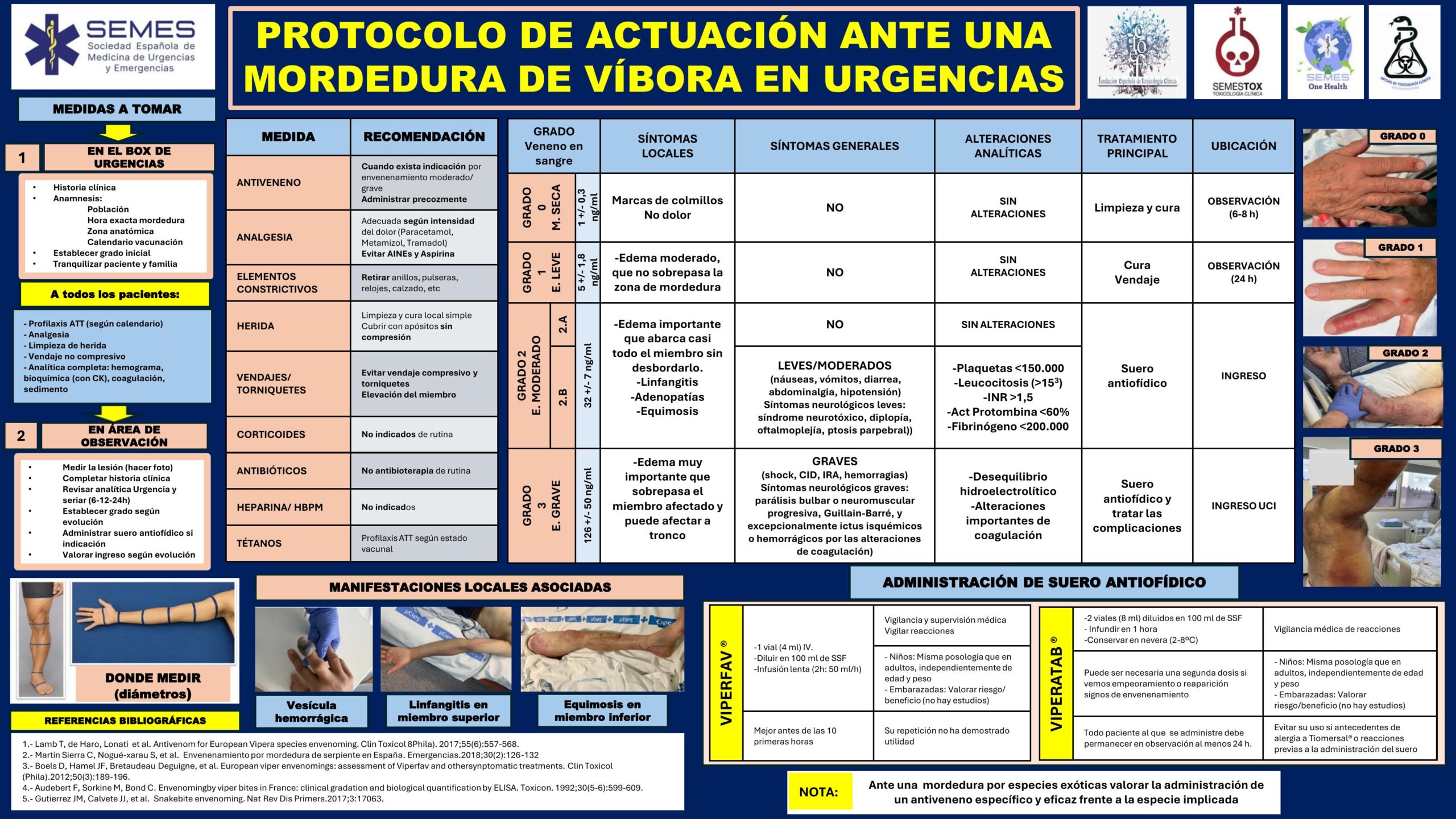 Protocolo de actuación ante una mordedura de víbora en Urgencias